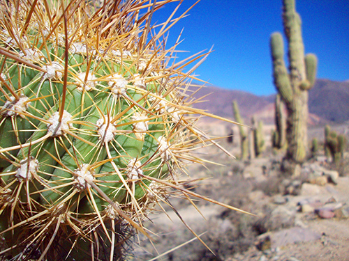 Vuelta a los Valles Jujuy